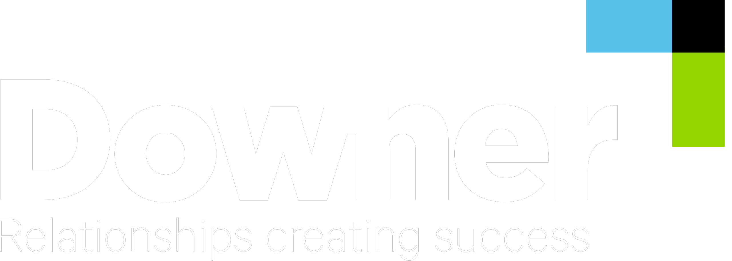 Partner Logo